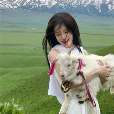 好莱坞，我爱你